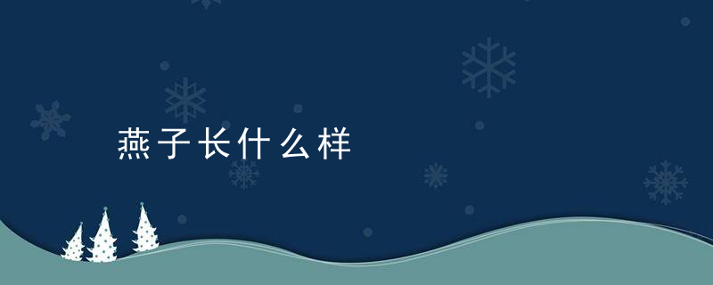 燕子长什么样