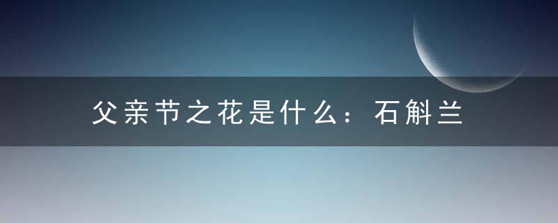 父亲节之花是什么：石斛兰