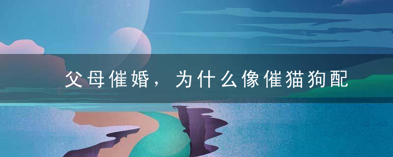 父母催婚，为什么像催猫狗配种一样那么着急