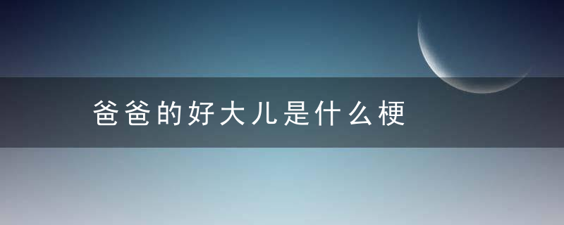 爸爸的好大儿是什么梗，爸爸的好大儿是什么意思