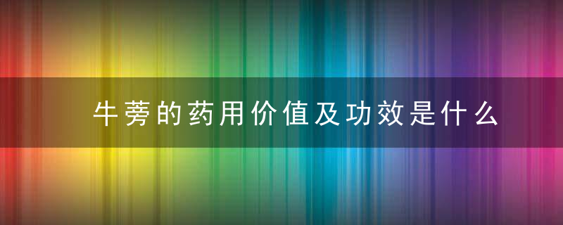 牛蒡的药用价值及功效是什么 牛蒡7大药用功效大公开