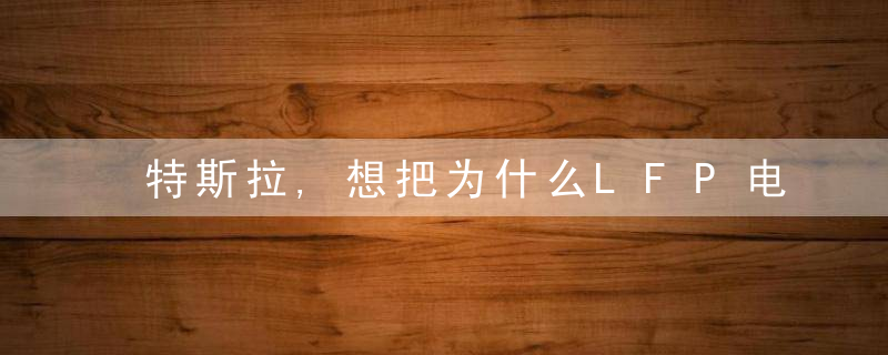特斯拉,想把为什么LFP电池带到外国