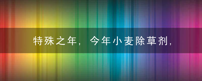 特殊之年,今年小麦除草剂,年前打还是年后打好快来看