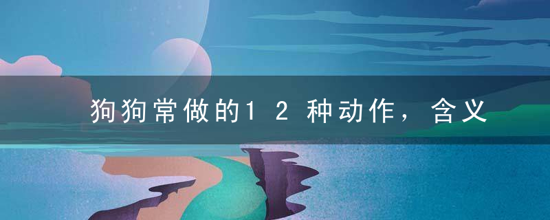 狗狗常做的12种动作，含义可能跟你想的不一样