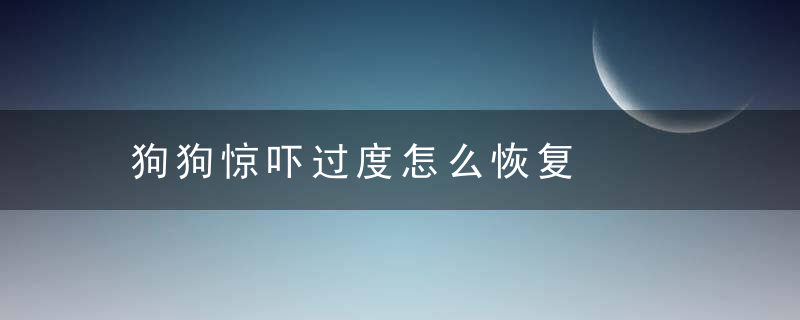 狗狗惊吓过度怎么恢复