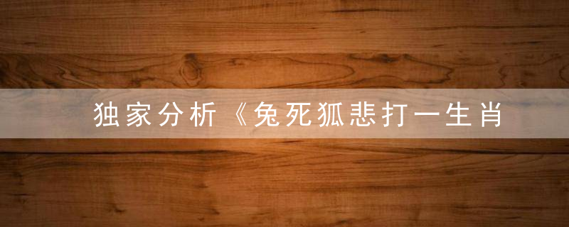 独家分析《兔死狐悲打一生肖》是什么意思兔死狐悲指什么生肖