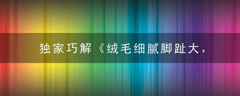 独家巧解《绒毛细腻脚趾大，不务正业，追赶人后》打一生肖