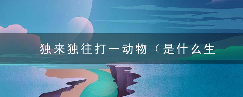 独来独往打一动物（是什么生肖动物）正确曝出2月16日深圳疫情