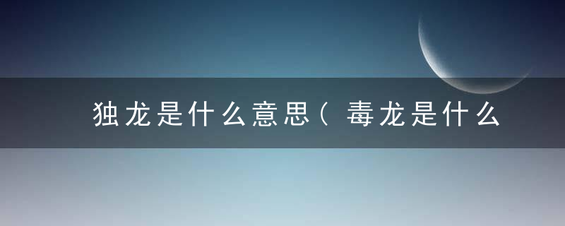 独龙是什么意思(毒龙是什么意思解释一下)