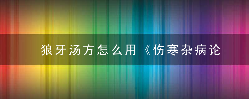 狼牙汤方怎么用《伤寒杂病论》 狼牙汤方，狼牙汤中的狼牙是什么