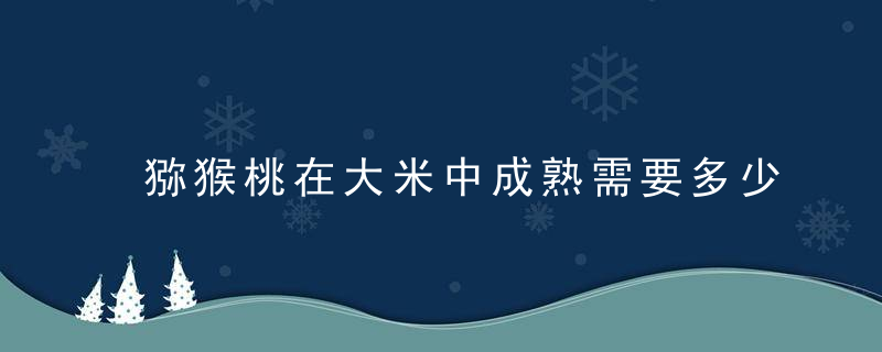 猕猴桃在大米中成熟需要多少天