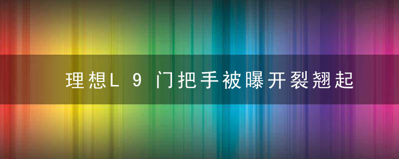 理想L9门把手被曝开裂翘起 网友：胶水一粘还是500万