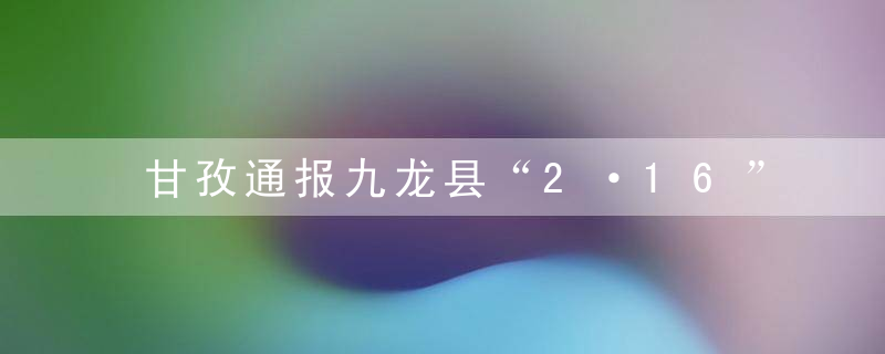 甘孜通报九龙县“2·16”森林火灾问责处理情况,近日