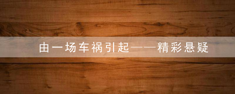由一场车祸引起——精彩悬疑片《看不见的客人》