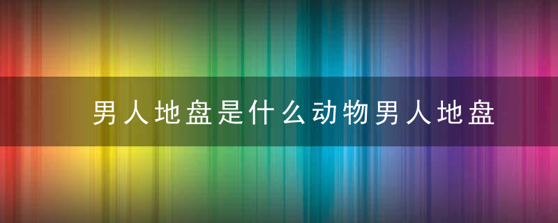 男人地盘是什么动物男人地盘指什么生肖指什么含义