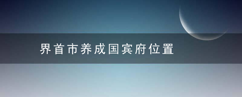 界首市养成国宾府位置