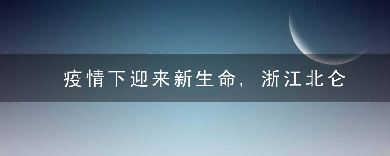 疫情下迎来新生命,浙江北仑7天诞生45个“抗疫宝宝”