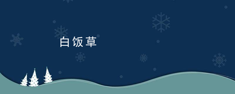 白饭草