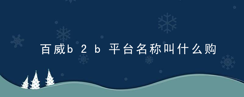 百威b2b平台名称叫什么购