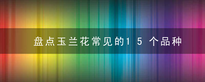 盘点玉兰花常见的15个品种,你见过几种,近日最新