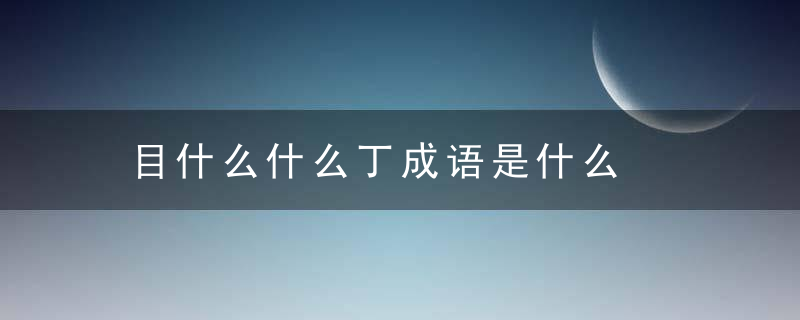 目什么什么丁成语是什么