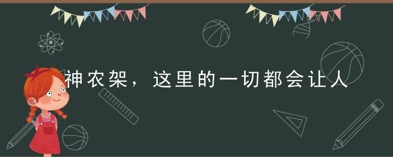 神农架，这里的一切都会让人忘记喧嚣，恍若隔世