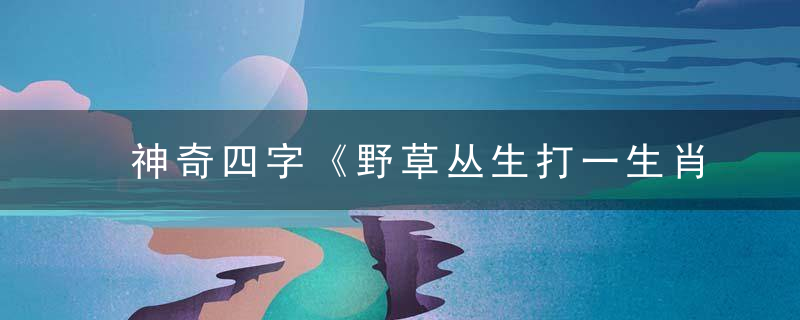 神奇四字《野草丛生打一生肖》是什么意思野草丛生是什么生肖