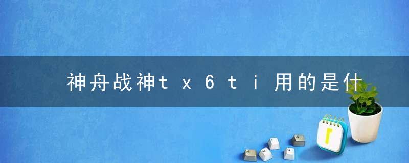 神舟战神tx6ti用的是什么内存条