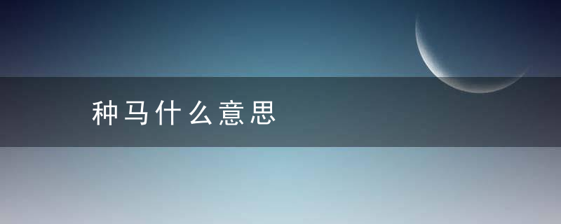 种马什么意思