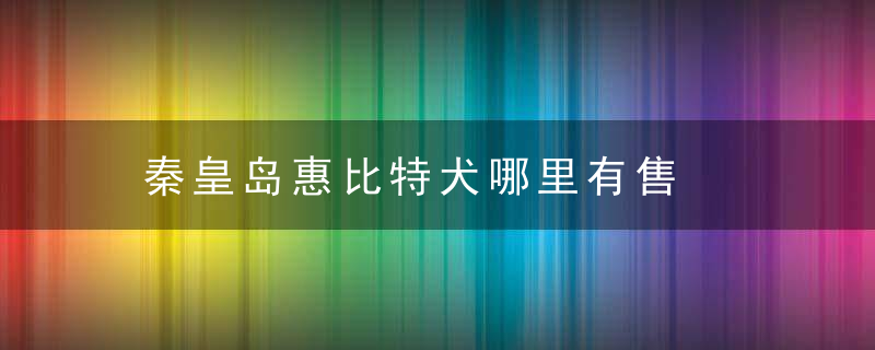 秦皇岛惠比特犬哪里有售