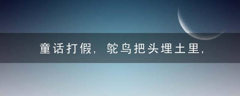 童话打假,鸵鸟把头埋土里,乌鸦喝水,鳄鱼的眼泪…