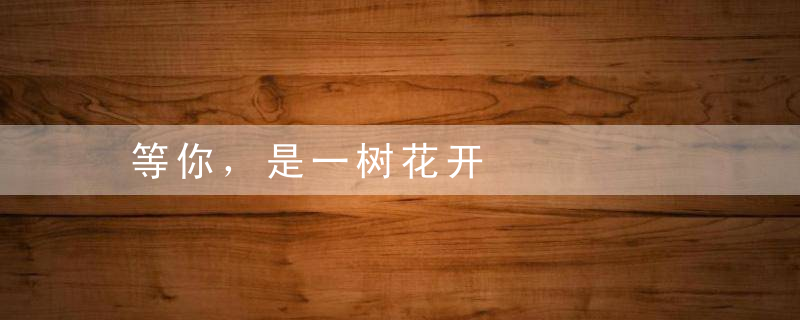 等你，是一树花开