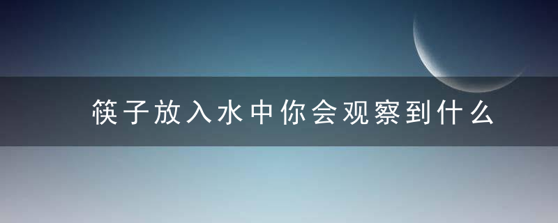 筷子放入水中你会观察到什么的现象