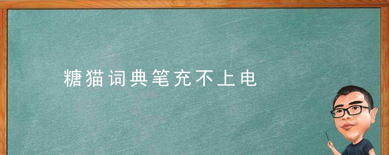 糖猫词典笔充不上电