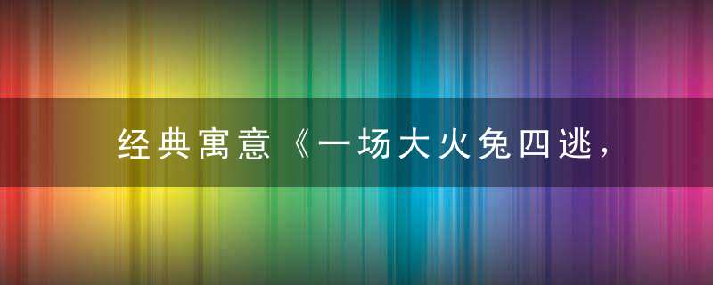 经典寓意《一场大火兔四逃，飞龙在天降吉雨》打一生肖指什么意思