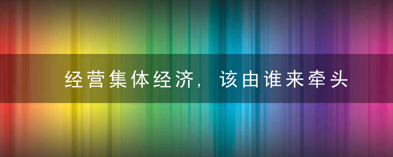 经营集体经济,该由谁来牵头