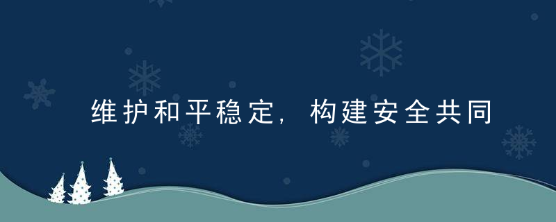 维护和平稳定,构建安全共同体