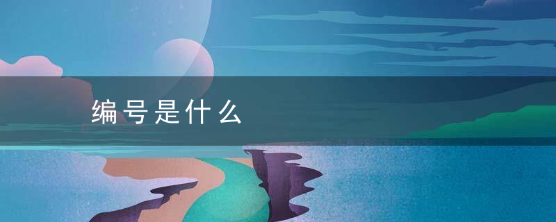 编号是什么