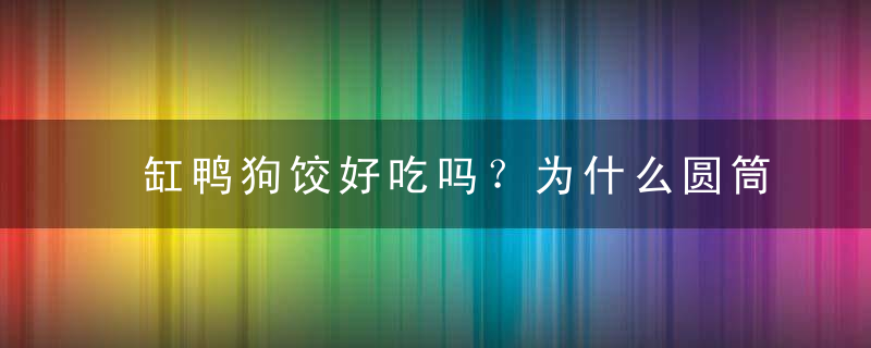 缸鸭狗饺好吃吗？为什么圆筒鸭狗饺子这么贵？