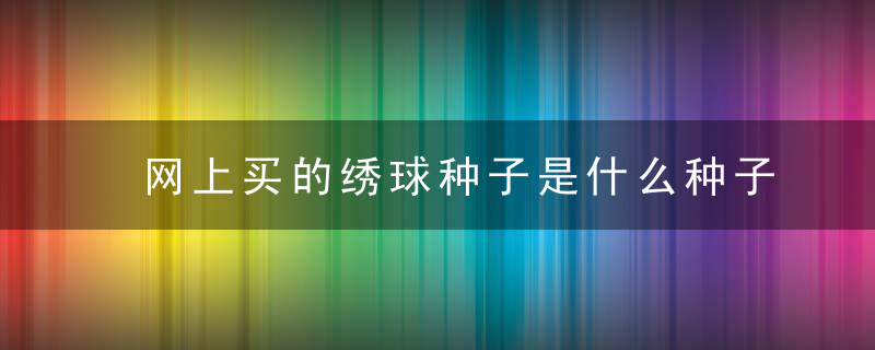 网上买的绣球种子是什么种子 网上买的绣球种子是真的吗