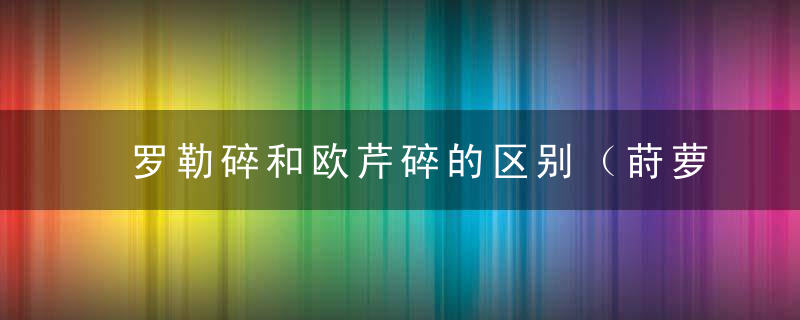 罗勒碎和欧芹碎的区别（莳萝草、披萨草、迷迭香、百里香到底都是干嘛的？）