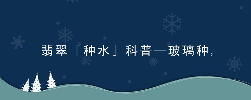 翡翠「种水」科普—玻璃种,除了贵,你对她一无所知