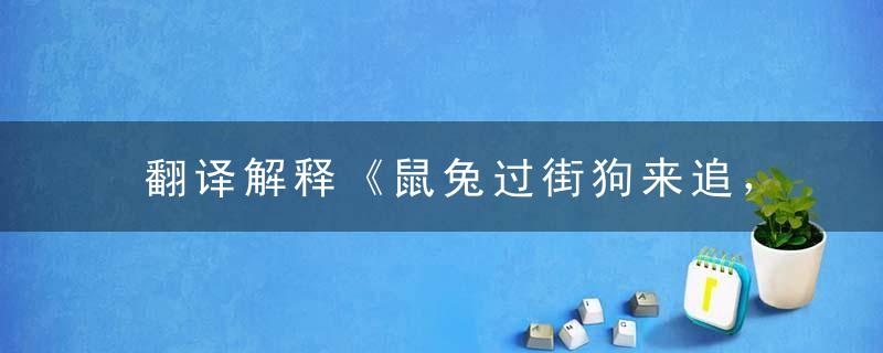 翻译解释《鼠兔过街狗来追，王者之风震四方》打一生肖