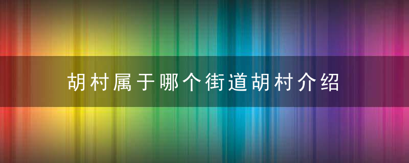 胡村属于哪个街道胡村介绍