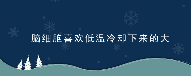 脑细胞喜欢低温冷却下来的大脑,对身体好处多多