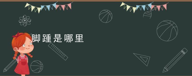 脚踵是哪里