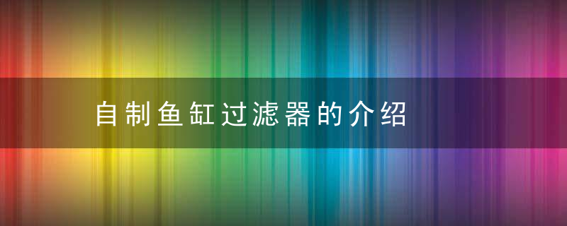自制鱼缸过滤器的介绍