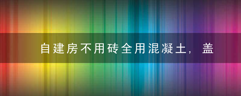 自建房不用砖全用混凝土,盖房效率更高更结实,赶紧来看