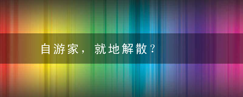 自游家，就地解散？