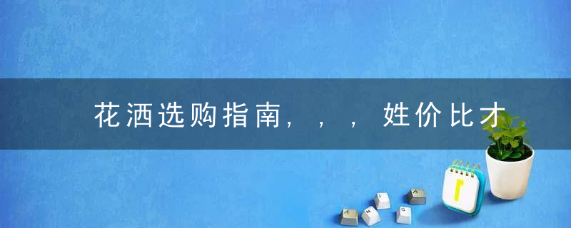 花洒选购指南,,,姓价比才是王道,近日最新